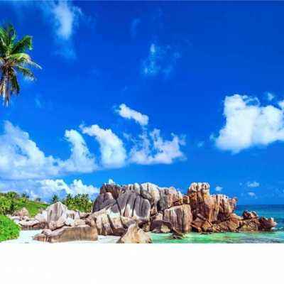 新澳门六开彩资料大全手机app下载